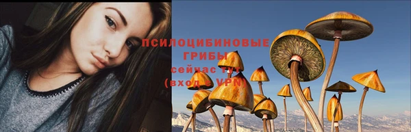 мет Аркадак