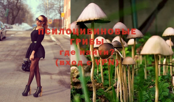 соль курить ск Михайловск