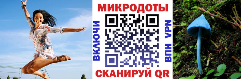 Псилоцибиновые грибы Psilocybine cubensis  Зеленоградск 
